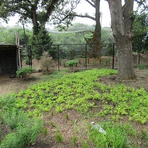Asian Highlands: Phase One - White-naped Crane Exhibit