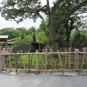 Asian Highlands: Phase One - White-naped Crane Exhibit