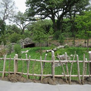 Asian Highlands: Phase One - Tufted Deer Exhibit