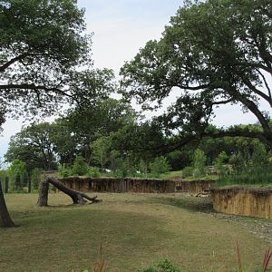 Asian Highlands: Phase One - Greater One-horned Rhino/Pere Davids Deer Exhibit