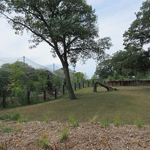 Asian Highlands: Phase One - Greater One-horned Rhino/Pere Davids Deer Exhibit