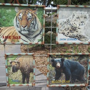 Asian Highlands: Phase Two (2019)