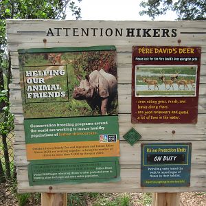 Asian Highlands: Phase One - Greater One-horned Rhino/Pere Davids Deer Exhibit