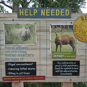 Asian Highlands: Phase One - Greater One-horned Rhino/Pere Davids Deer Exhibit