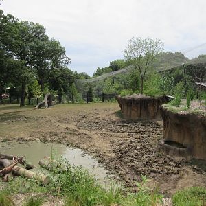 Asian Highlands: Phase One - Greater One-horned Rhino/Pere Davids Deer Exhibit