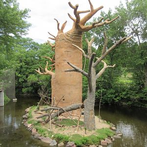 Expedition Madagascar - Ring-tailed Lemur Exhibit