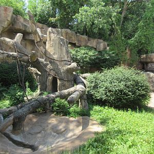 Gorilla Exhibit