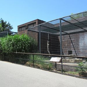 1977 Cat Complex (to be demolished in 2019)