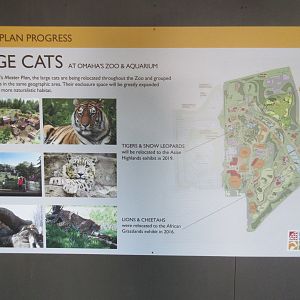 Master Plan Update: Big Cats