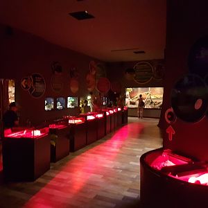 Invertebrate-enclosures