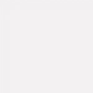 White-throated guenon