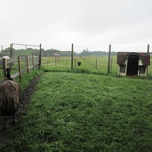 Emu Exhibit