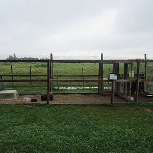 Mara Exhibit