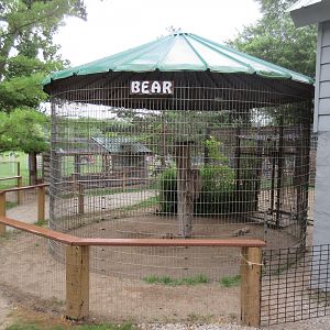 American Black Bear Exhibit (one section)