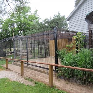 American Black Bear Exhibit (all 3 sections)