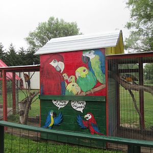 Macaw Exhibits