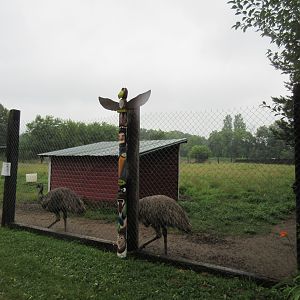 Emu Exhibit