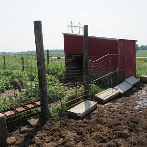 Rickety Old Fence (Asian Water Buffalo Exhibit)