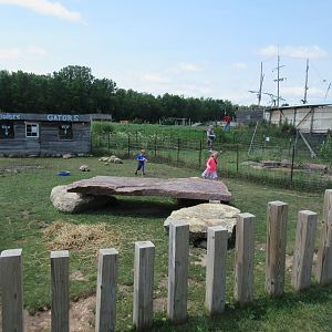 Sulcata Tortoise Exhibit