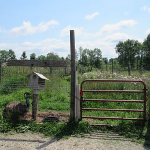 Emu Exhibit