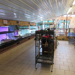 Assorted Reptile + Bird Exhibits