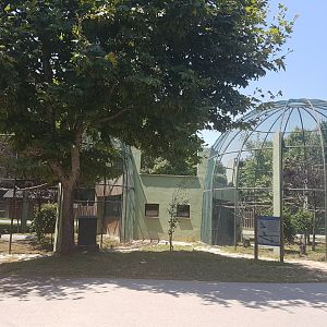 Tree blocking straw-necked ibis and blue wing kookaburrah