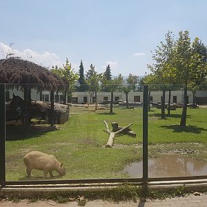 South American enclosure