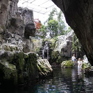View of the auk enclosure
