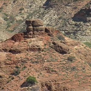 Along Larapinda drive, NT