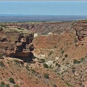 Along Larapinda drive.  NT.