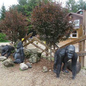 Lowland Gorilla Statues