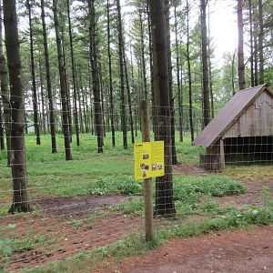 Multi-acre Llama Exhibit