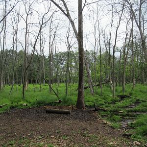 Multi-acre European Red Deer/White-tailed Deer Exhibit