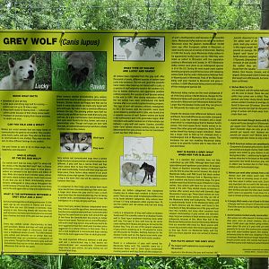 Grey Wolf Exhibit - packed informational sign!
