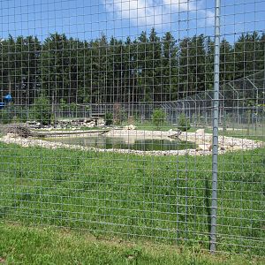Cougar Exhibit - New in 2017
