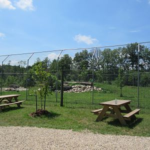 Cougar Exhibit - New in 2017