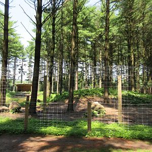 Grizzly Bear Exhibit