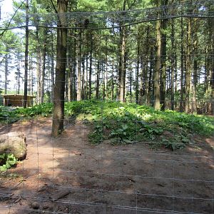 Grizzly Bear Exhibit