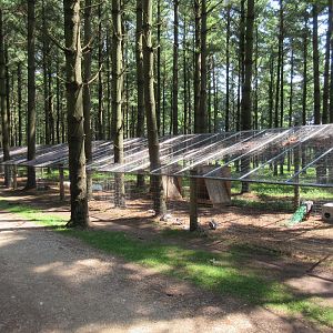 Incredibly Long Aviary (for chickens, ducks, pheasants, peafowl, etc.)