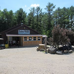 Zoo Entrance + Gorilla Statues