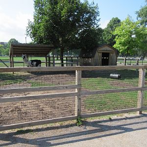 Llama Exhibit
