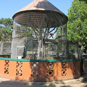 Japanese Macaque Exhibit