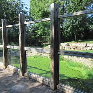 1-Acre Grey Wolf Exhibit