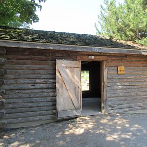 1-Acre Grey Wolf Exhibit - Viewing Area