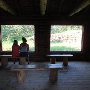 1-Acre Grey Wolf Exhibit - Viewing Area