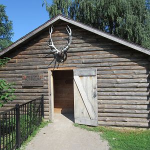 American Elk Exhibit - Viewing Area