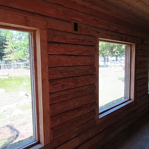 American Elk Exhibit - Viewing Area