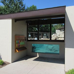 North American River Otter Exhibit