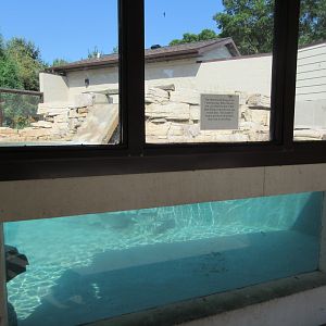 North American River Otter Exhibit