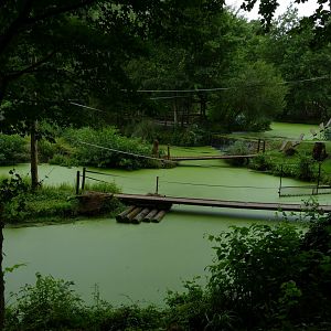 This green and pleasant land, July 2018